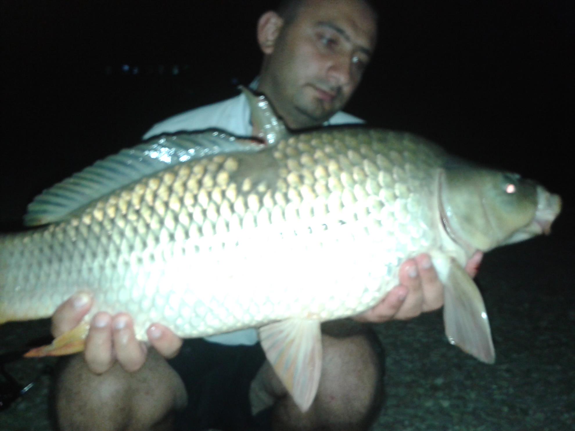 Hermes Peris 2 - 3 august 2014 - 20140802223528.jpg